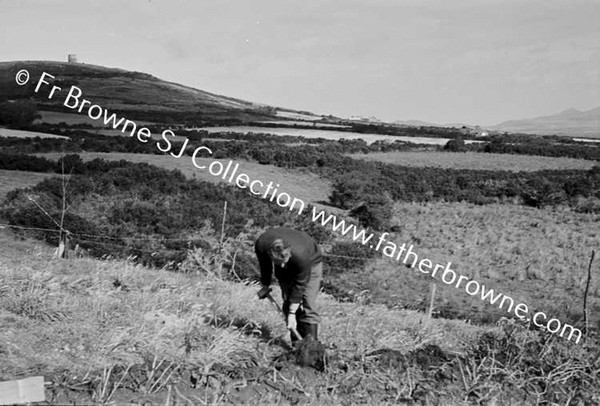 GLYN MYNYTHO MAN GARDENING